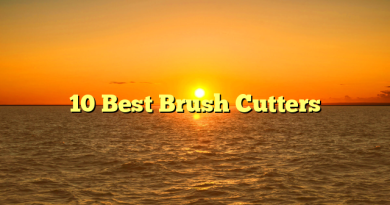 10 Best Brush Cutters