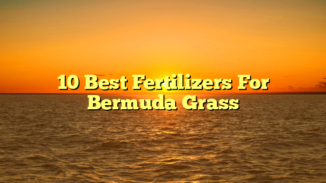10 Best Fertilizers For Bermuda Grass