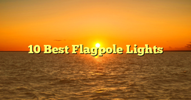 10 Best Flagpole Lights