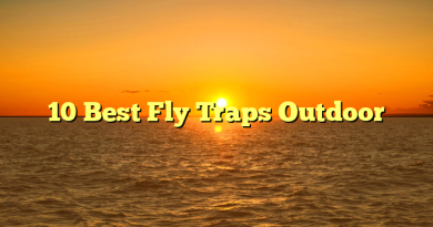 10 Best Fly Traps Outdoor