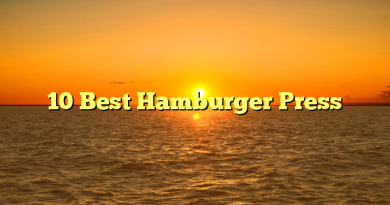 10 Best Hamburger Press