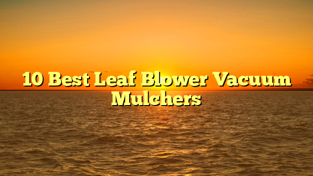 10 Best Leaf Blower Vacuum Mulchers