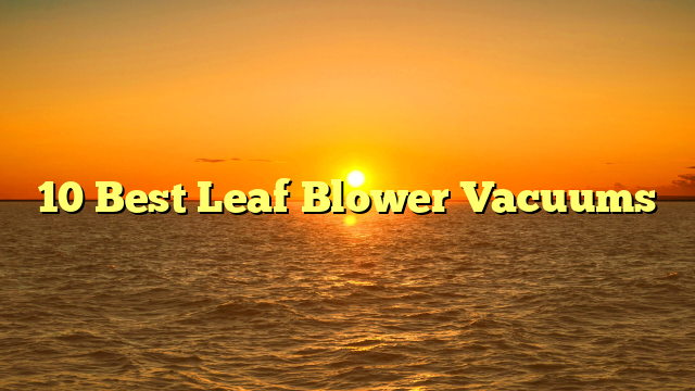 10 Best Leaf Blower Vacuums