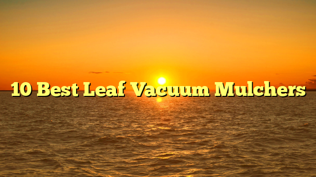 10 Best Leaf Vacuum Mulchers