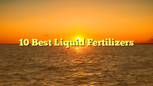 10 Best Liquid Fertilizers