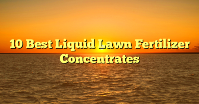 10 Best Liquid Lawn Fertilizer Concentrates