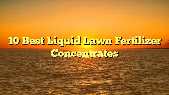 10 Best Liquid Lawn Fertilizer Concentrates