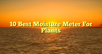 10 Best Moisture Meter For Plants