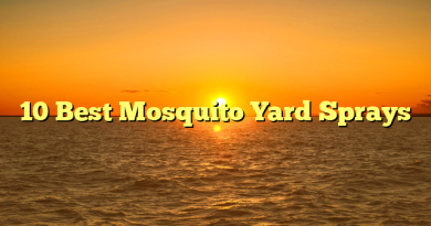 10 Best Mosquito Yard Sprays