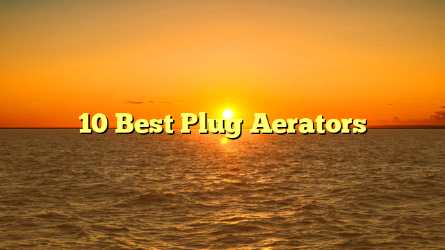 10 Best Plug Aerators