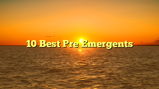 10 Best Pre Emergents