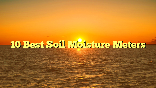 10 Best Soil Moisture Meters